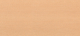 KRAFTWERK® Holz Top für Werkstattwagen BT1100
